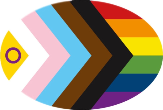 LGBTIQ Motiv A Progress Pride Anstecker mit Sicherheitsnadel Ø 25 mm