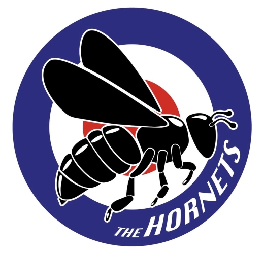 Hornets, The Hornets Motiv 1 Anstecker mit Sicherheitsnadel Ø 25 mm