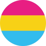 LGBTIQ Motiv 5 Pansexual Pride Anstecker mit Sicherheitsnadel Ø 25 mm