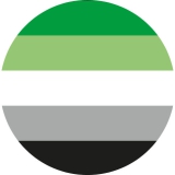 LGBTIQ Motiv D Aromantic Pride Anstecker mit Sicherheitsnadel Ø 25 mm