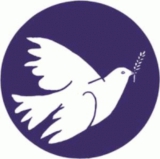 Friedenstaube Motiv 2 Anstecker mit Sicherheitsnadel Ø 25mm