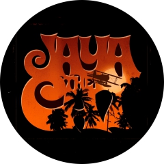 Jaya The Cat Motiv 1 Anstecker mit Sicherheitsnadel Ø 25mm