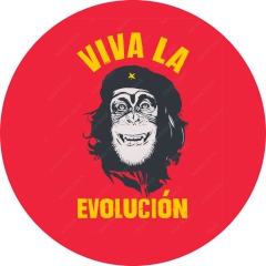 Viva La Evolutión Motiv 1 Anstecker mit Sicherheitsnadel Ø 25mm