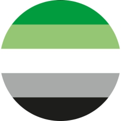 LGBTIQ Motiv D Aromantic Pride Anstecker mit Sicherheitsnadel Ø 25 mm