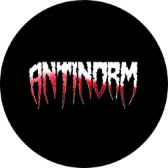 Antinorm Motiv 2 Anstecker mit Sicherheitsnadel Ø 25 mm