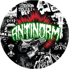 Antinorm Motiv 4 Anstecker mit Sicherheitsnadel Ø 25 mm